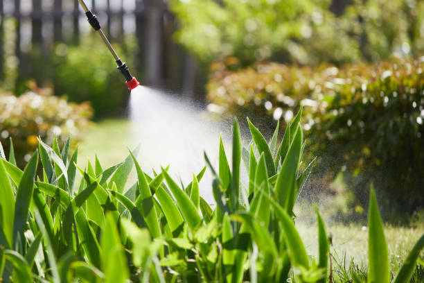 24/7 Emergency Wasp Removal experts in Lusby, MD