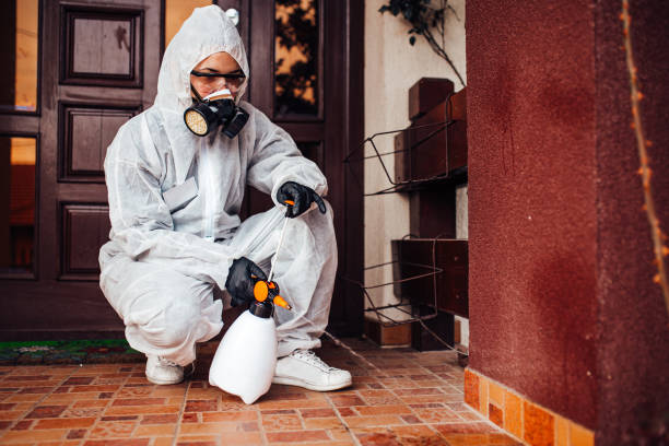 Reliable Wasp Removal contractor in Lusby, MD by Show Me Pest Control